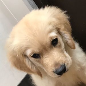 Meet your Posher, Keegan